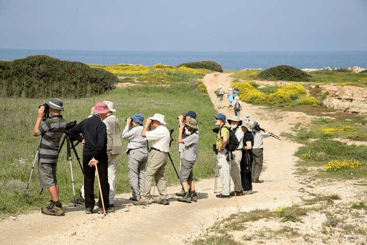 Image A guided Bird Watching Tour + Lunch - Postponed for 2021
