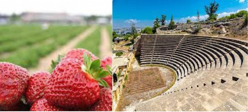 Imge 09/06/2022
A guided walk around Vouni & Soli, Strawberry Picking + Lunch