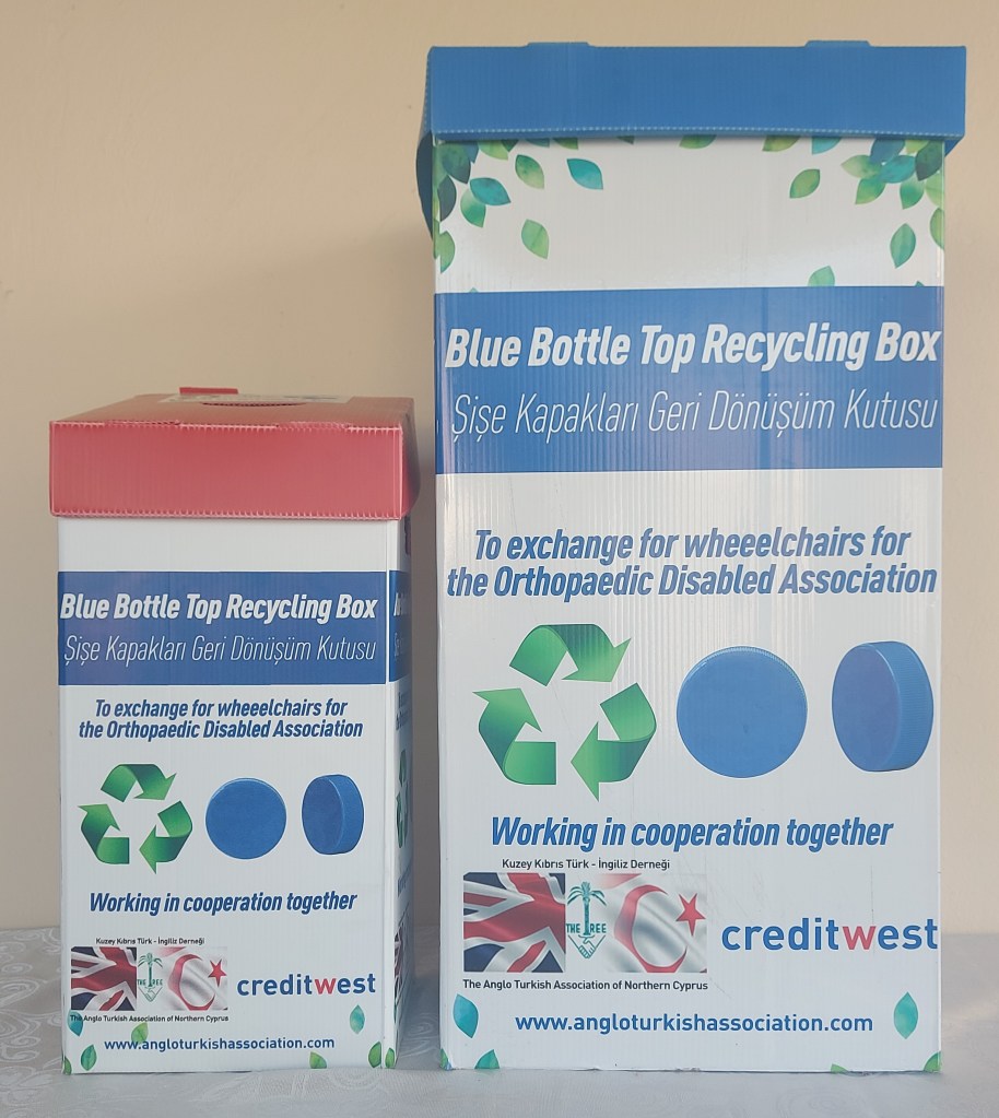 Blue bottle top recycle bag