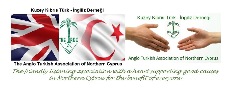 Charity work current